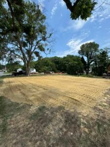 rough dirt grading in delaware