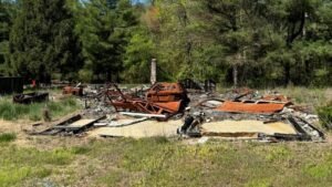 Remove junk from yard